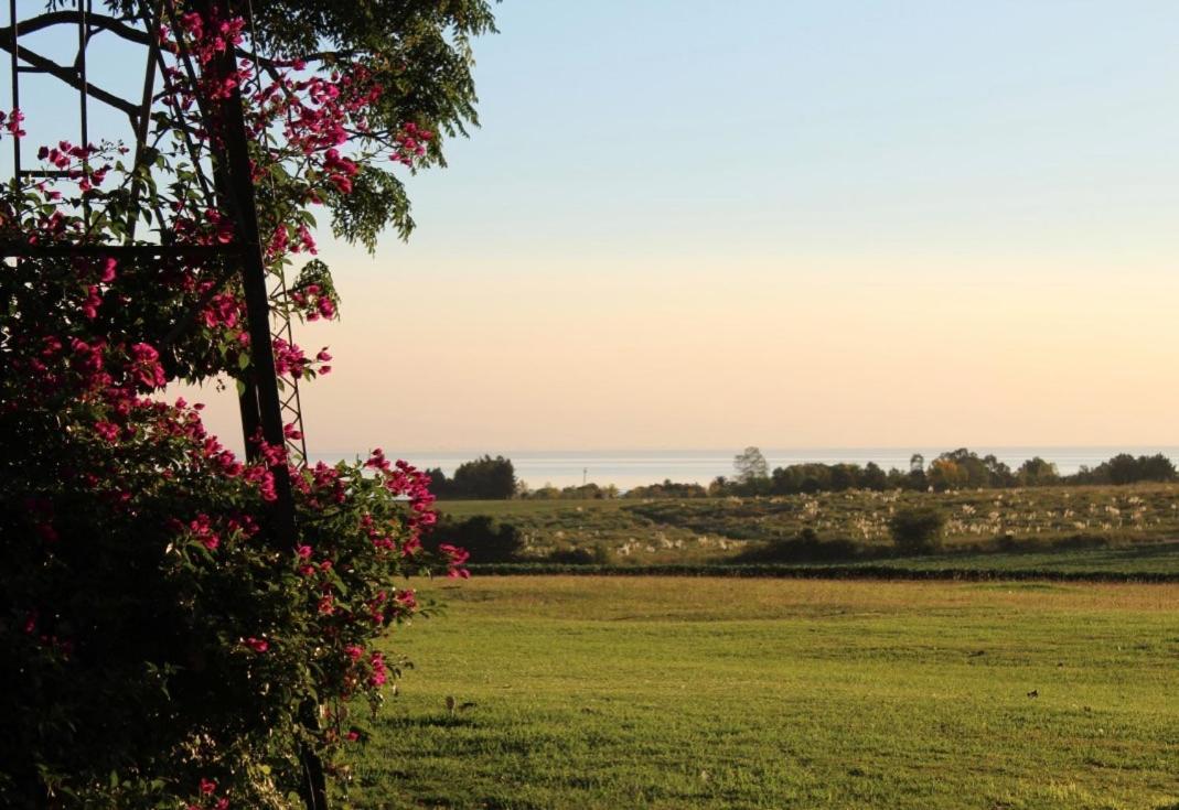 La Casona De San Pedro Βίλα Κολονία ντε Σακραμεντο Εξωτερικό φωτογραφία