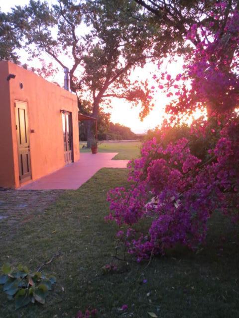 La Casona De San Pedro Βίλα Κολονία ντε Σακραμεντο Εξωτερικό φωτογραφία